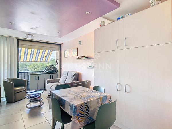 Appartement Le Grau Du Roi 1 pièce(s) 26 m2