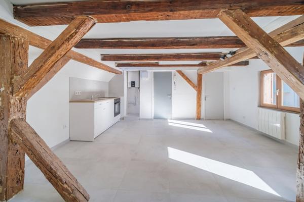 Investissement clé en main studio + mezzanine cœur de mulhouse