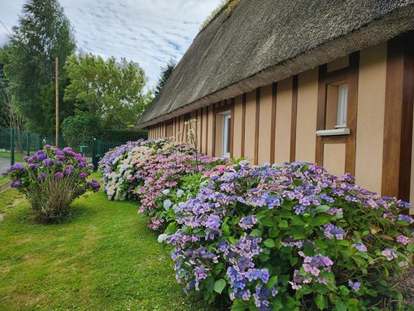 CHAUMIERE NORMANDE F3 BOUQUETOT