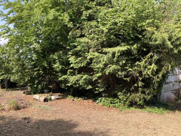 Vente Terrain 419 m2 à Saint-Georges-des-Groseillers