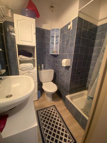 T2 (2 appartements réunis) de 26,25 m² ,Vue Pistes & Loggias Vitrées, Exposition Sud-Ouest