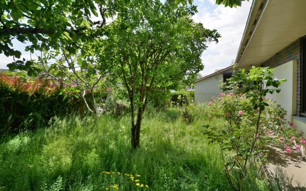 Maison à vendre    5 pièces •  Esbly