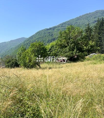 Terrain - 2397 m²