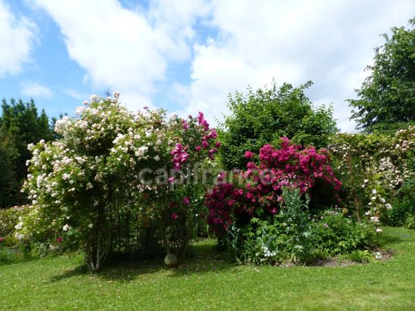 Orléans, Maison à vendre 5 pièces de 92 m2- 3 chambres avec jardin