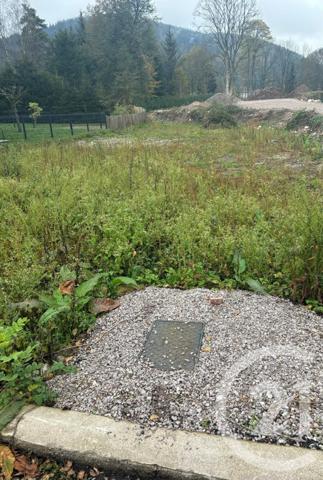 Terrain à vendre  425 m2 GERARDMER - 88