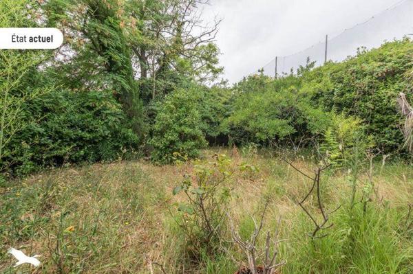 Maison 560 304 € Montpellier 6 p 217 m² DPE C