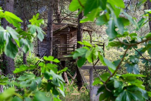 EXCLUSIVITE - LE MONTAIGUET - MAISON 160M2 - T7 - GARAGE - PISCINE - PARC 5000M2 - 1 020 000