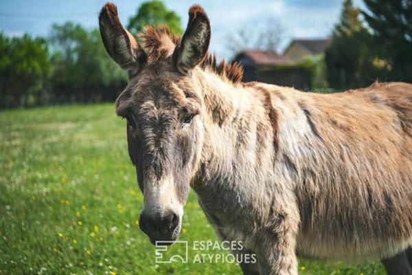 Eco-domaine 5 * au coeur de la capitale truffière – investissement rare et stratégique