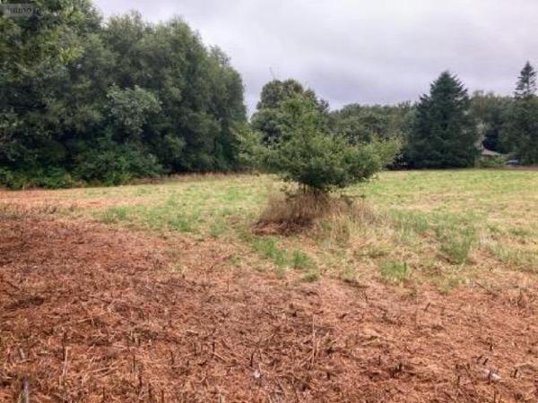 Terrain à Batir à vendre à Languidic dans le Morbihan (56440), ref : 29114-1056521