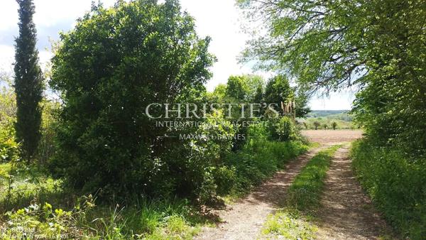 Un refuge de charme en pleine nature, sans aucun voisin