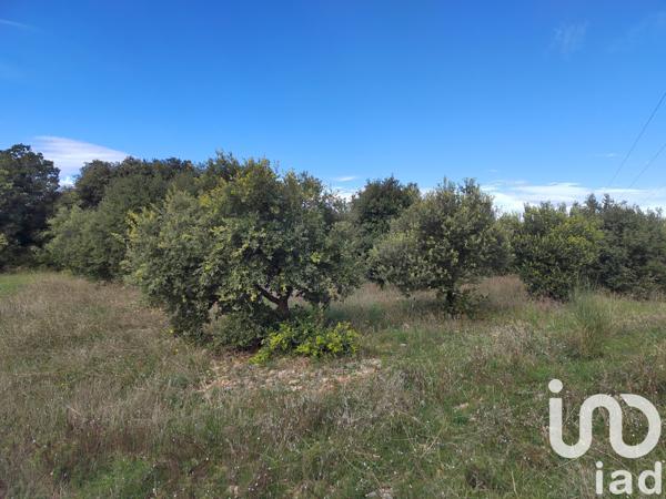 Terrain à vendre 4 300 m² Sérignan-du-Comtat