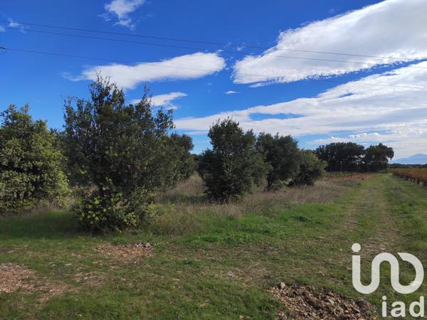 Terrain à vendre 4 300 m² Sérignan-du-Comtat