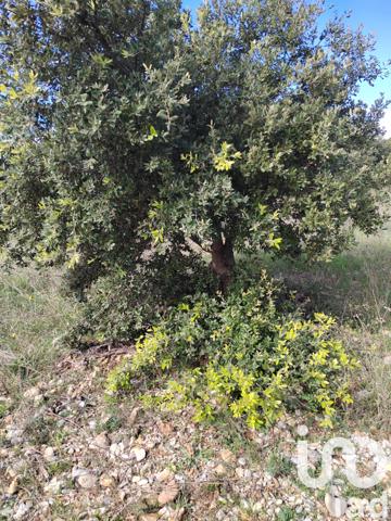 Terrain à vendre 4 300 m² Sérignan-du-Comtat