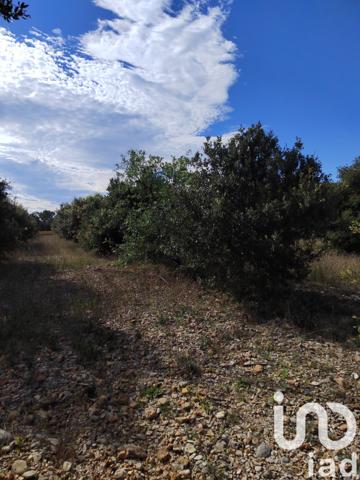 Terrain à vendre 4 300 m² Sérignan-du-Comtat