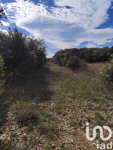 Terrain à vendre 4 300 m² Sérignan-du-Comtat