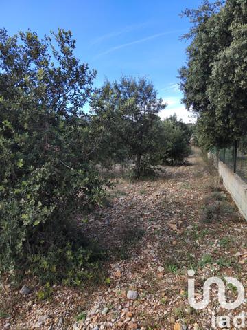 Terrain à vendre 4 300 m² Sérignan-du-Comtat