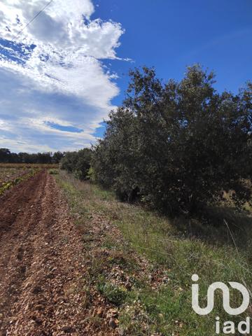 Terrain à vendre 4 300 m² Sérignan-du-Comtat