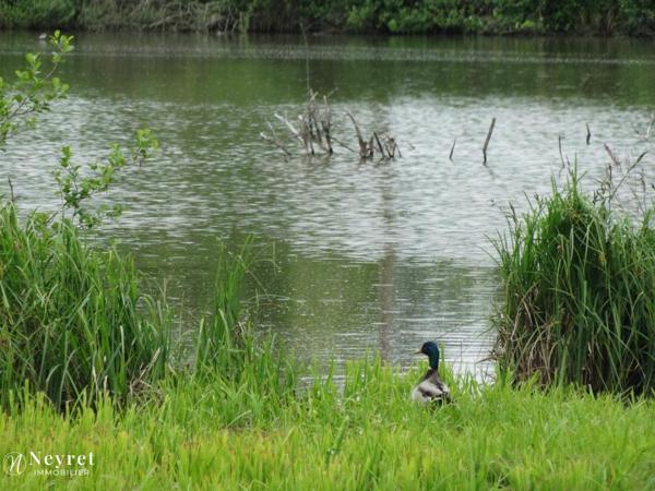 Domaine privé de 14 hectares environ à vocation de loisirs