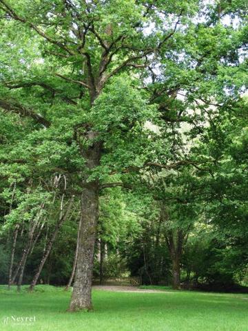 Domaine privé de 14 hectares environ à vocation de loisirs