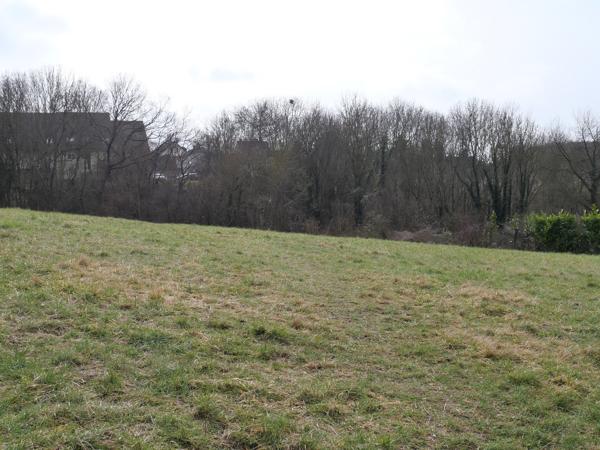 Terrain - 2700 m² Exclusivité efficity