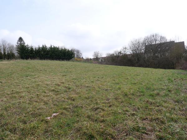 Terrain - 2700 m² Exclusivité efficity