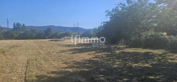 terrain constructible