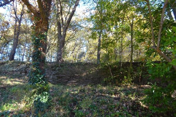 Maison à vendre 9 pièces COLLOBRIERES (83)