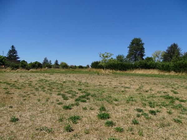 Terrain Montignac Lascaux 1999 m2