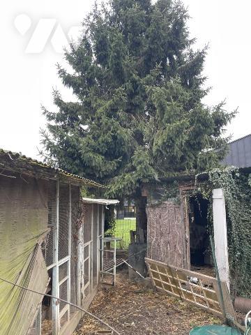 MAISON de bourg de 44m² avec jardin non attenant au coeur de BEAUMONT SUR SARTHE