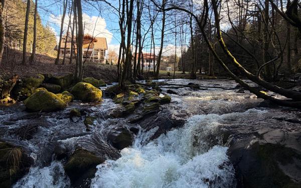 Appartement à vendre    2 pièces •  La Bresse