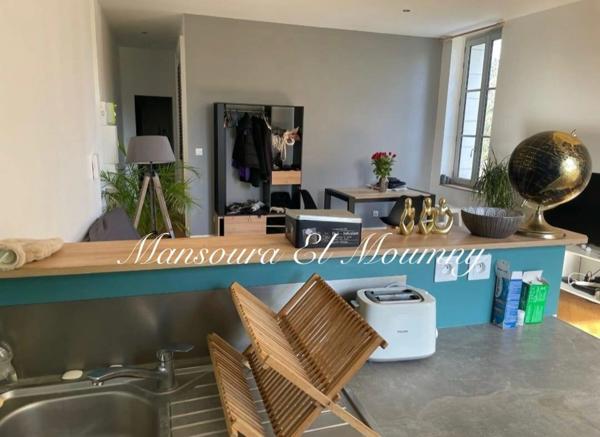 ✨ APPARTEMENT LUMINEUX DANS DEMEURE DE CARACTÈRE ✨ Savonnière  (37)