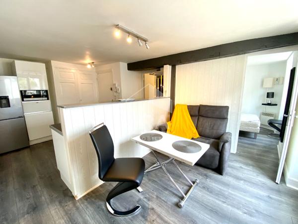 APPARTEMENT T1 BIS MEUBLE A LOUER - BLOIS - QUARTIER VIENNE, PROCHE COMMODITÉS, REFAIT A NEUF
