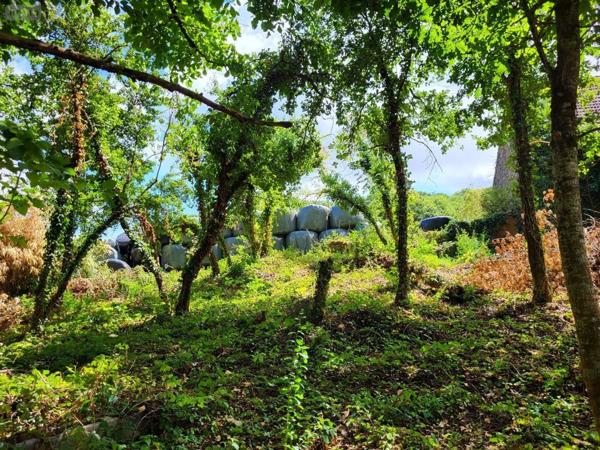 Maison à vendre à Dun-le-Palestel en Creuse (23800), ref : 1245