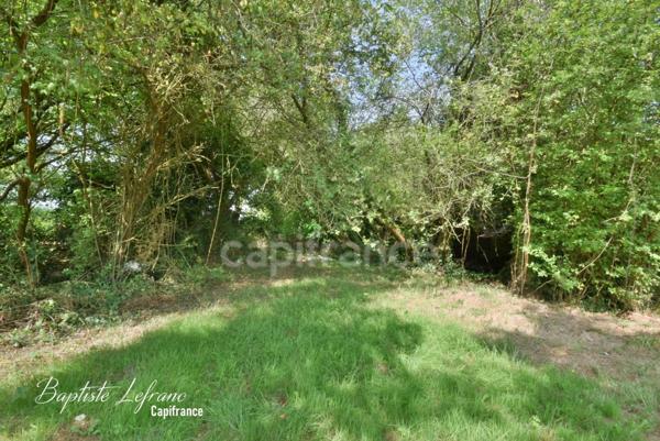 Durtal - Maison en pierre à rénover sur plus de 7000 m² de terrain