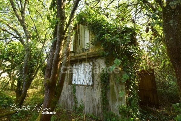 Durtal - Maison en pierre à rénover sur plus de 7000 m² de terrain