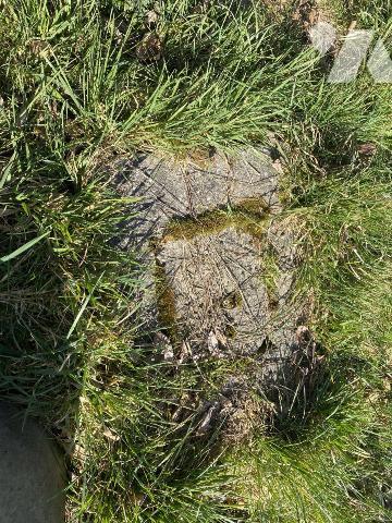 MAISON EN PIERRES AVEC GARAGE ET BATIMENT SUR TERRAIN DE 4.600 m²