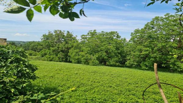 Terrain constructible - Les eyzies Les Eyzies - Terrain constructible de 1730m² sur les hauteurs avec vue dégagée
