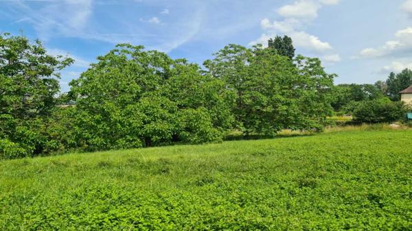 Terrain constructible - Les eyzies Les Eyzies - Terrain constructible de 1730m² sur les hauteurs avec vue dégagée