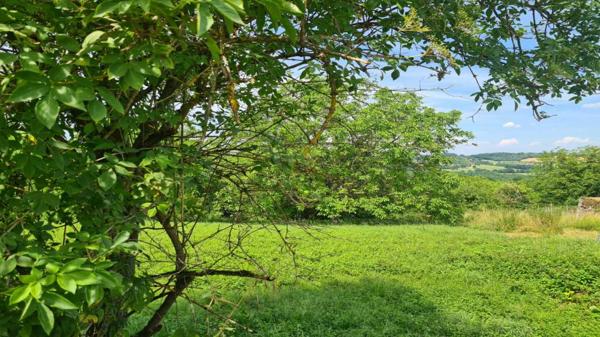 Terrain constructible - Les eyzies Les Eyzies - Terrain constructible de 1730m² sur les hauteurs avec vue dégagée