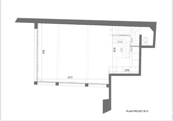 Triplex d'exception (prof. libérale possible en rdch.) - Rue Navarin Paris 9e