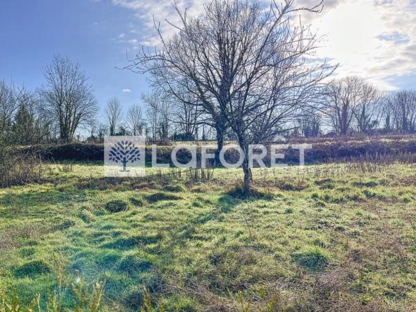 Achat terrain Moncoutant-sur-Sèvre - 1800 m² - 46 000 €