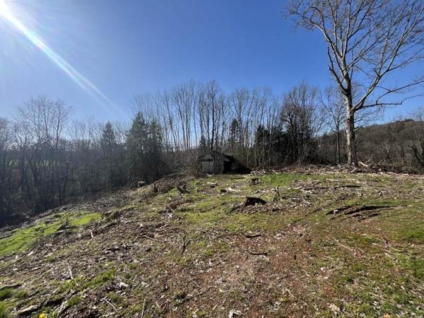 Terrain à vendre |  Verneuil-sur-Vienne |  4320 m²