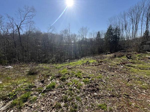 Terrain à vendre |  Verneuil-sur-Vienne |  4320 m²