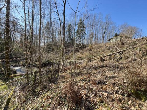 Terrain à vendre |  Verneuil-sur-Vienne |  4320 m²