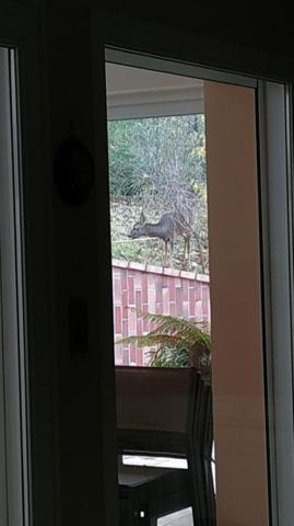 Vente / Maison d'architecte