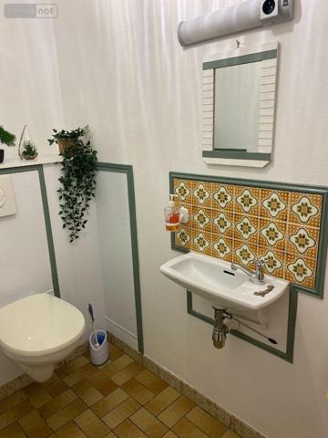 Maison à vendre à Buzançais dans l'Indre (36500), ref : 1051885