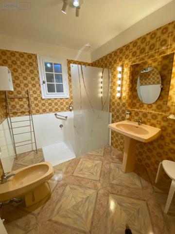 Maison à vendre à Buzançais dans l'Indre (36500), ref : 1051885