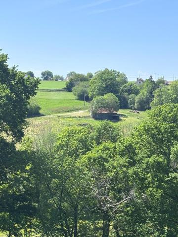 Terre agricole idéal pour pension chevaux