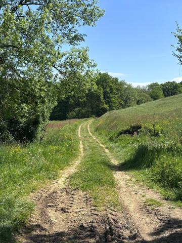 Terre agricole idéal pour pension chevaux