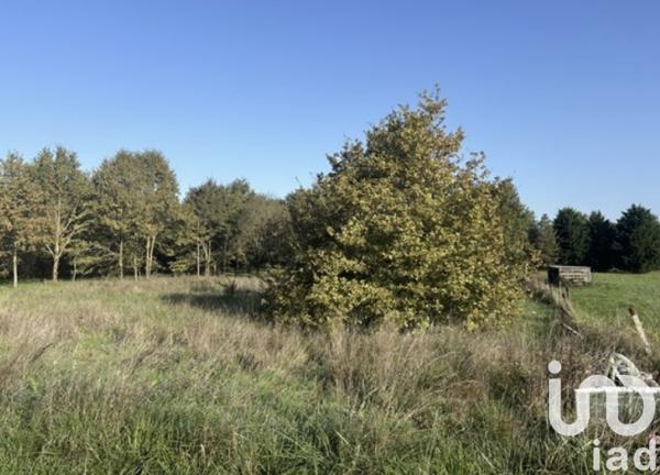 Terrain à vendre 